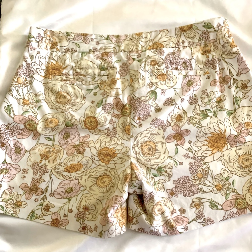 Summer Shorts Bundle - image 6